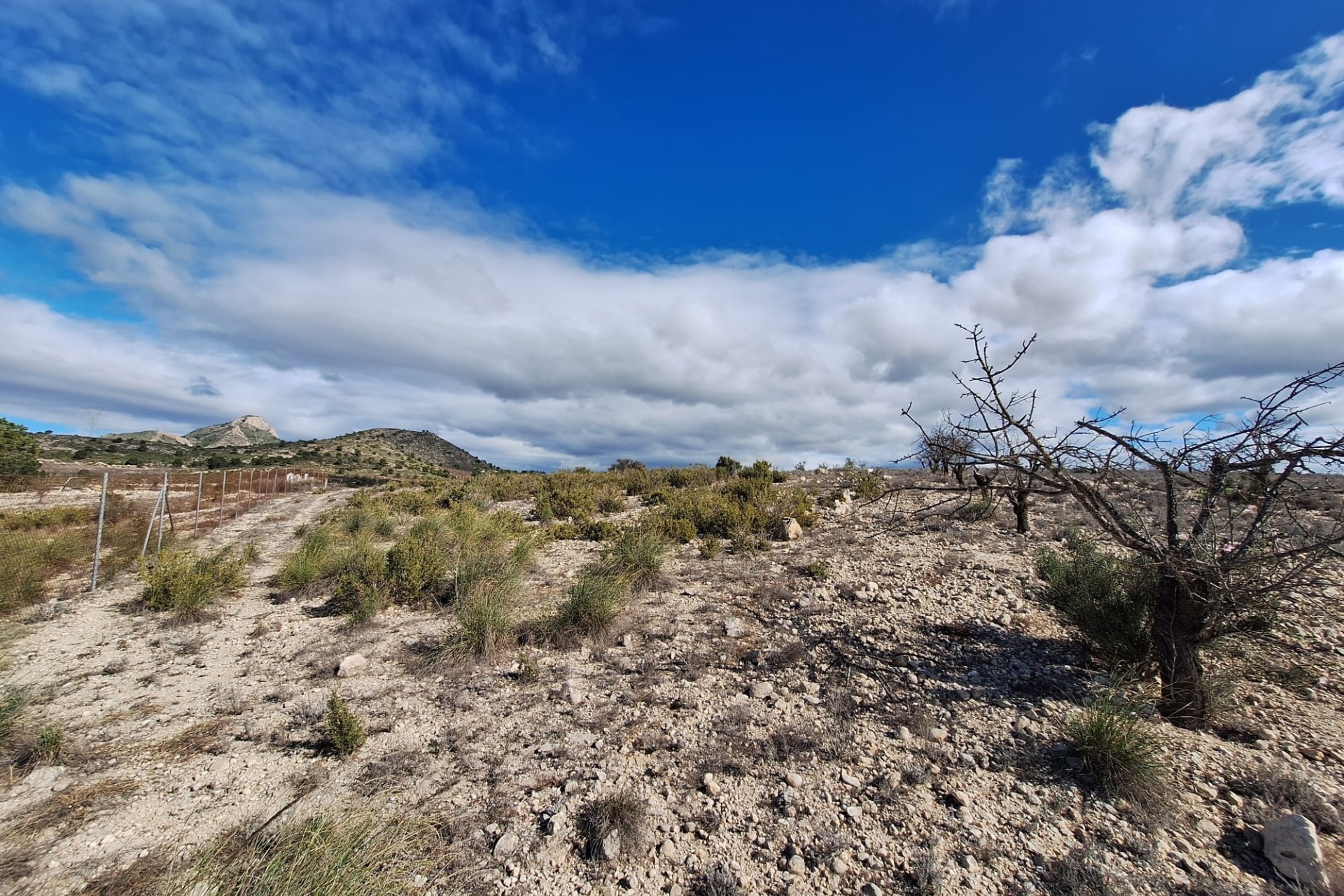 Herverkoop - Grond -
Salinas