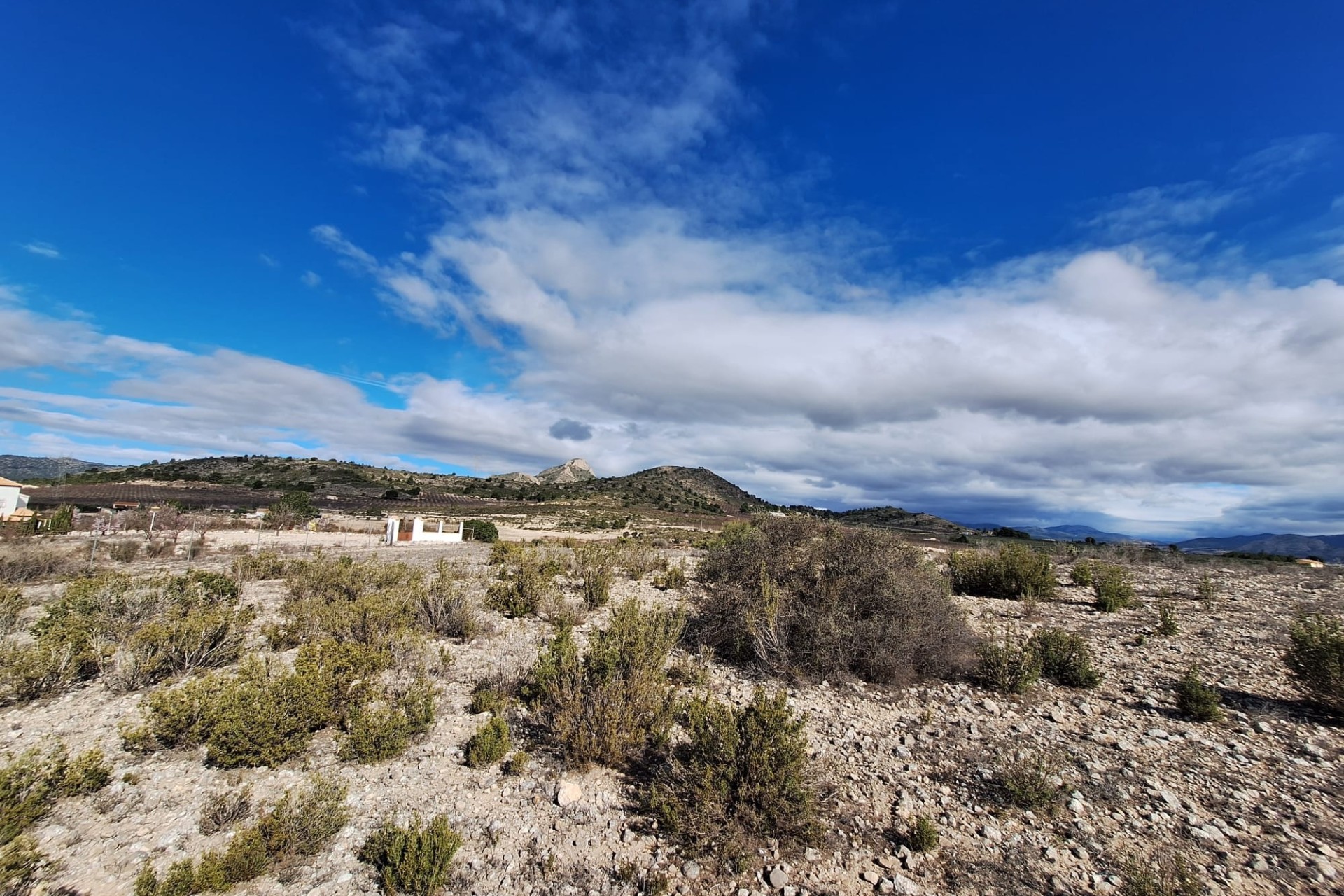 Herverkoop - Grond -
Salinas