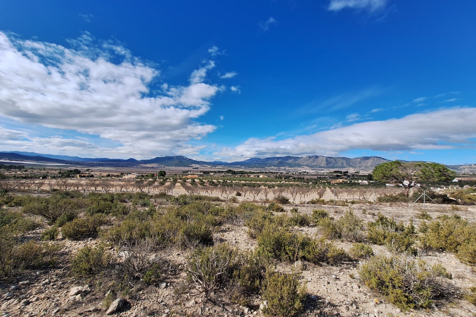 Herverkoop - Grond -
Salinas