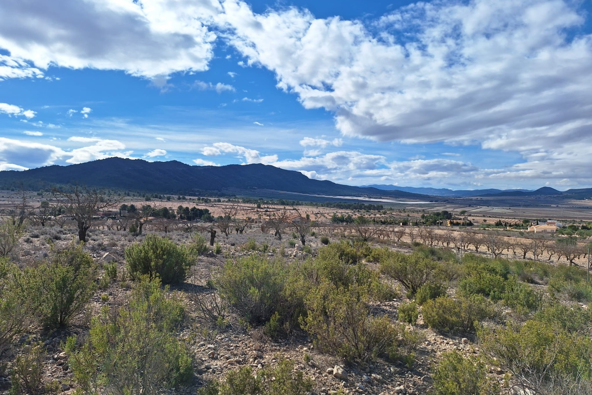 Herverkoop - Grond -
Salinas