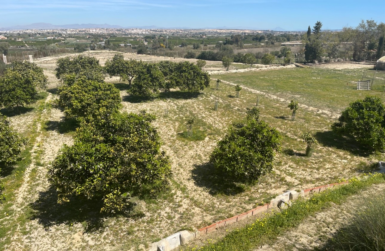 Herverkoop - Halfvrijstaande villa -
Guardamar del Segura - Valencian Community