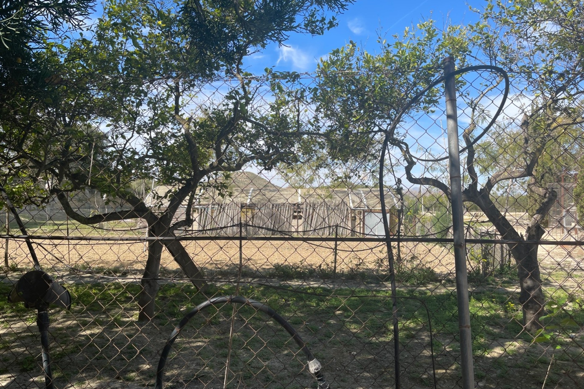 Herverkoop - Halfvrijstaande villa -
Guardamar del Segura - Valencian Community