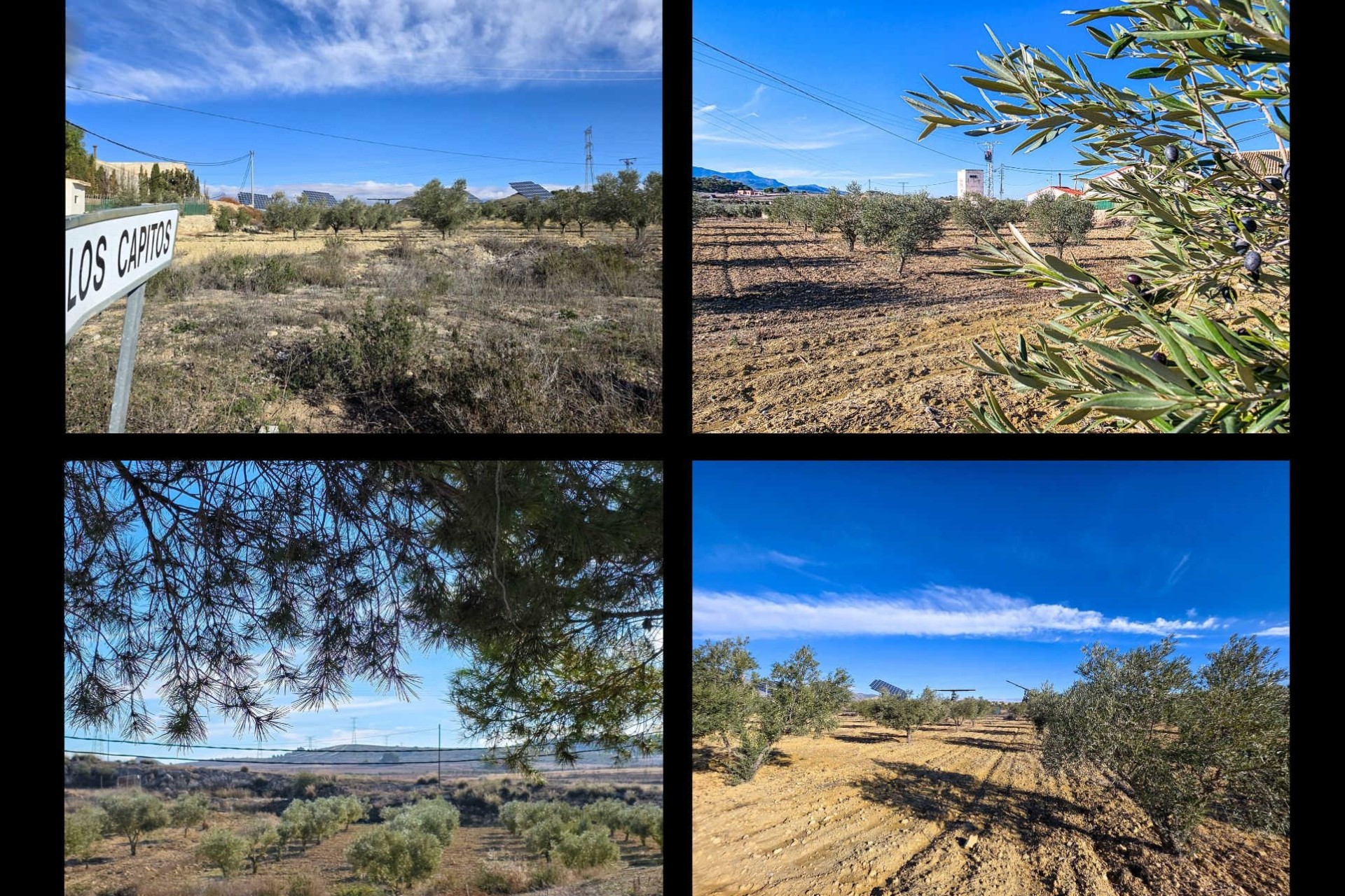 Herverkoop - Herenhuis -
Torre Del Rico