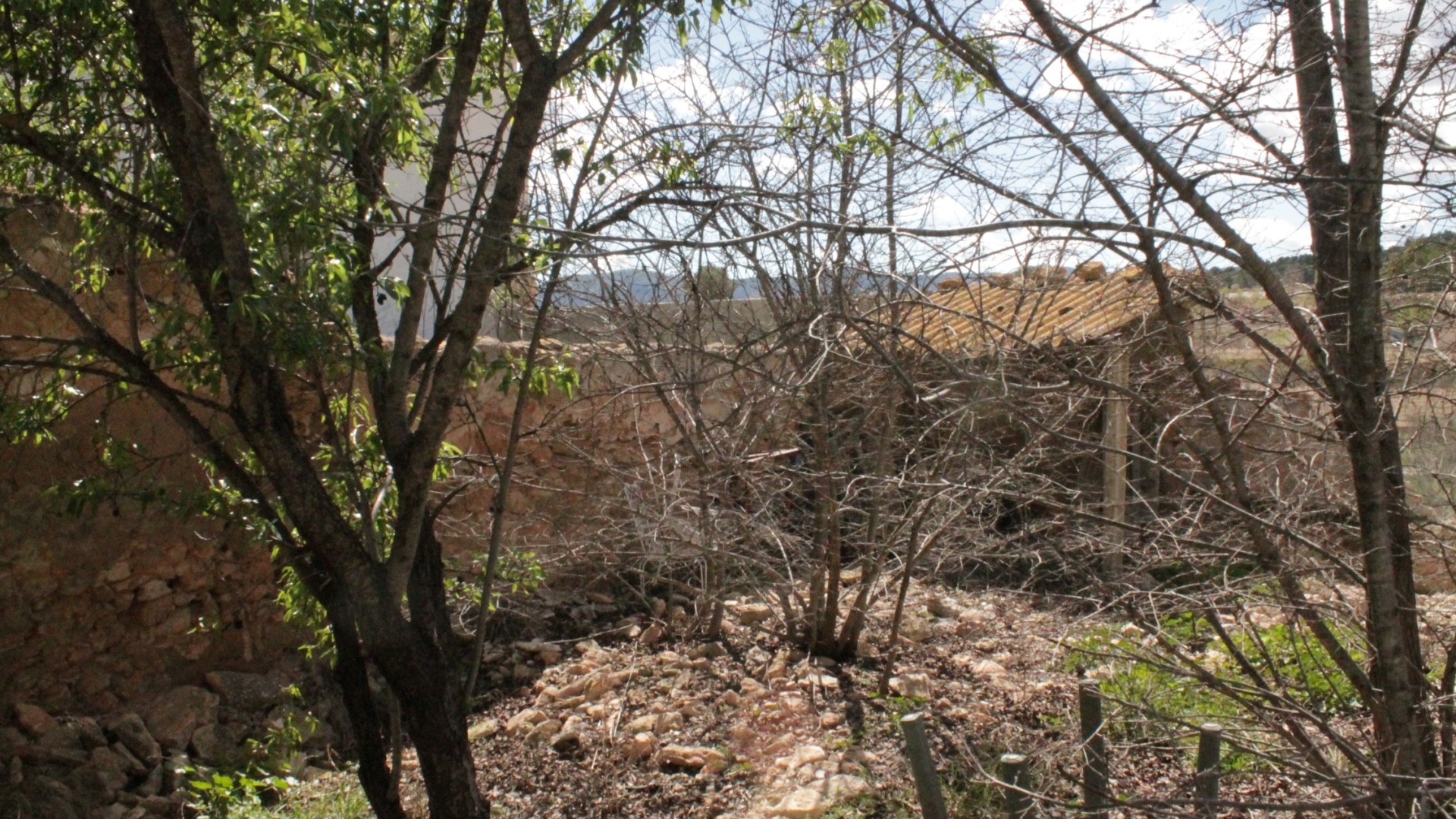 Herverkoop - Investeringsproject -
&Uacute;beda - &Uacute;beda Alicante