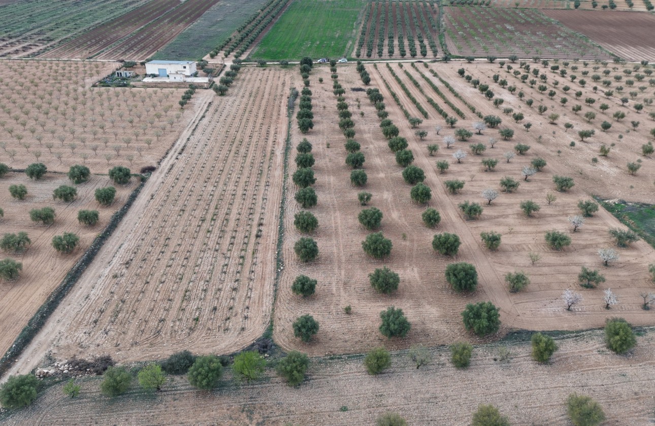 Herverkoop -  -
Jumilla