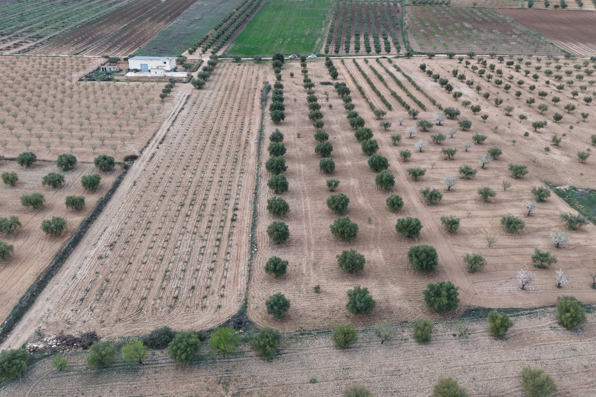 Herverkoop -  -
Jumilla