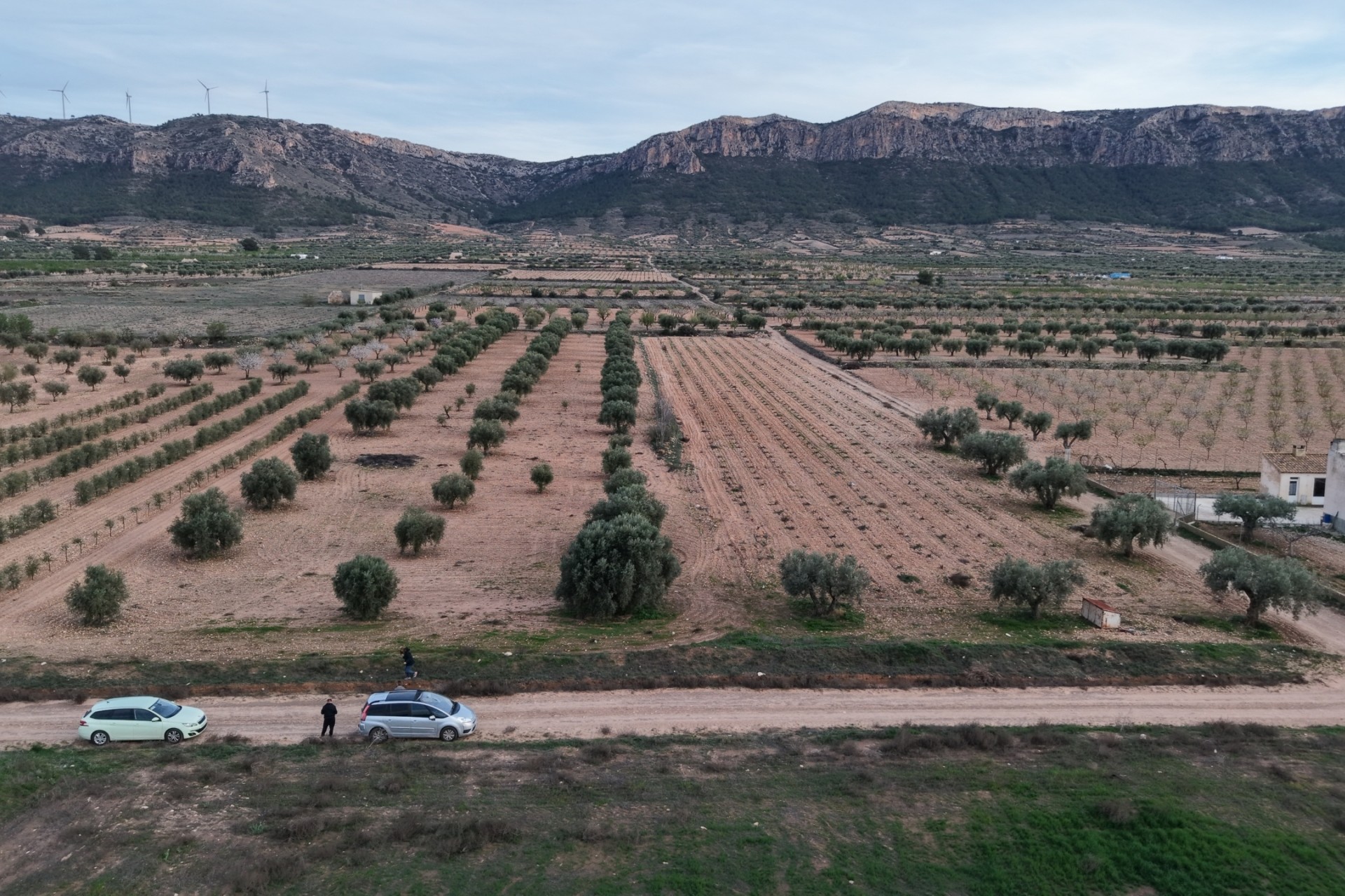 Herverkoop -  -
Jumilla
