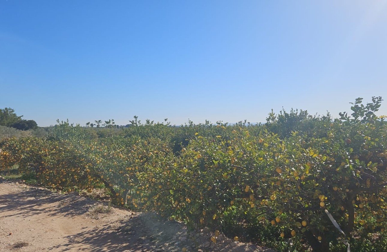 Herverkoop - Perceel / Grond -
Albatera