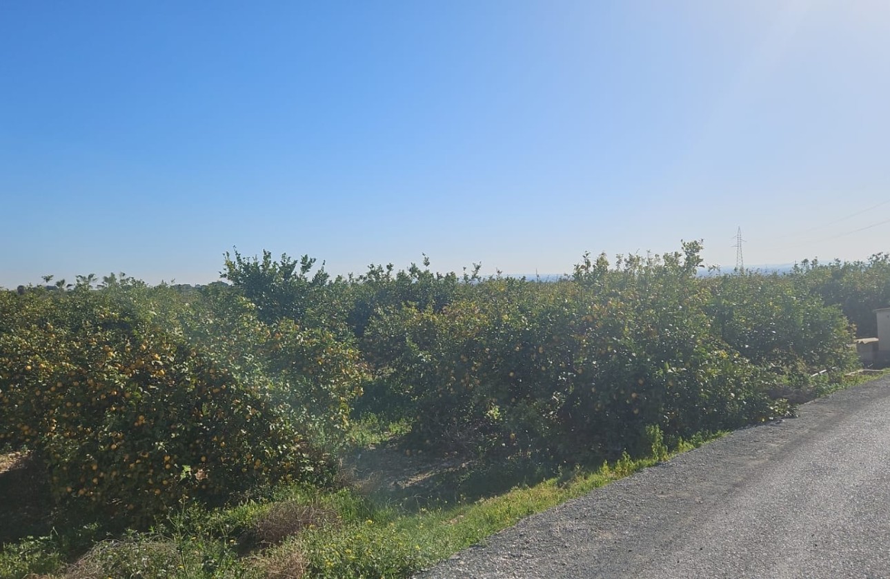 Herverkoop - Perceel / Grond -
Albatera