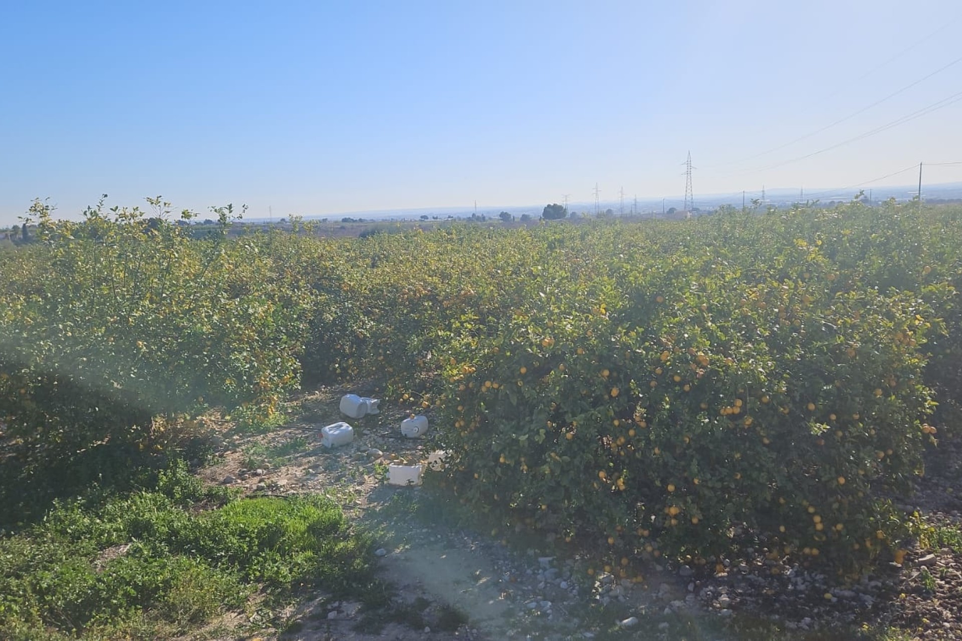 Herverkoop - Perceel / Grond -
Albatera