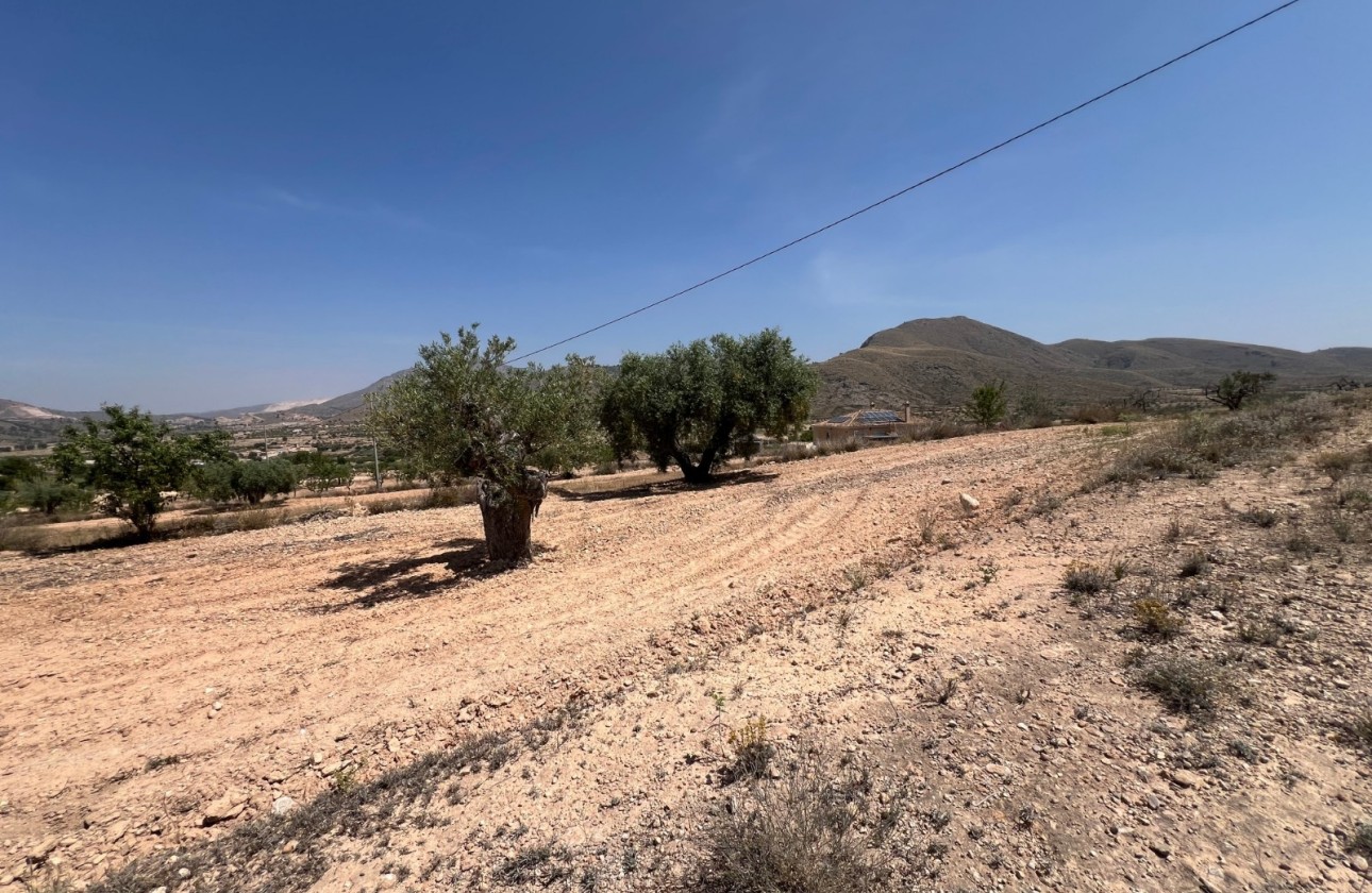 Herverkoop - Perceel Grond -
Barbarroja