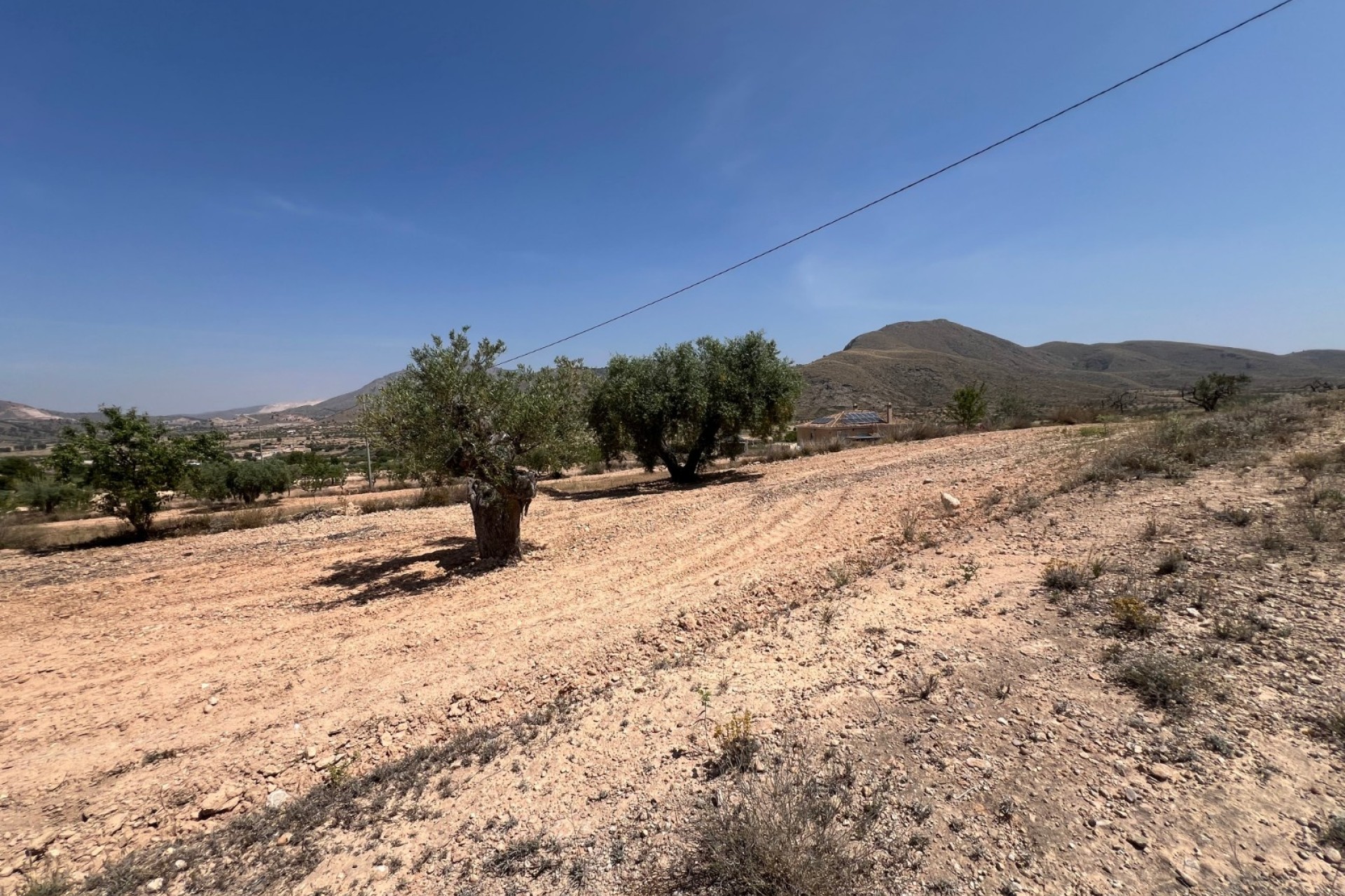 Herverkoop - Perceel Grond -
Barbarroja