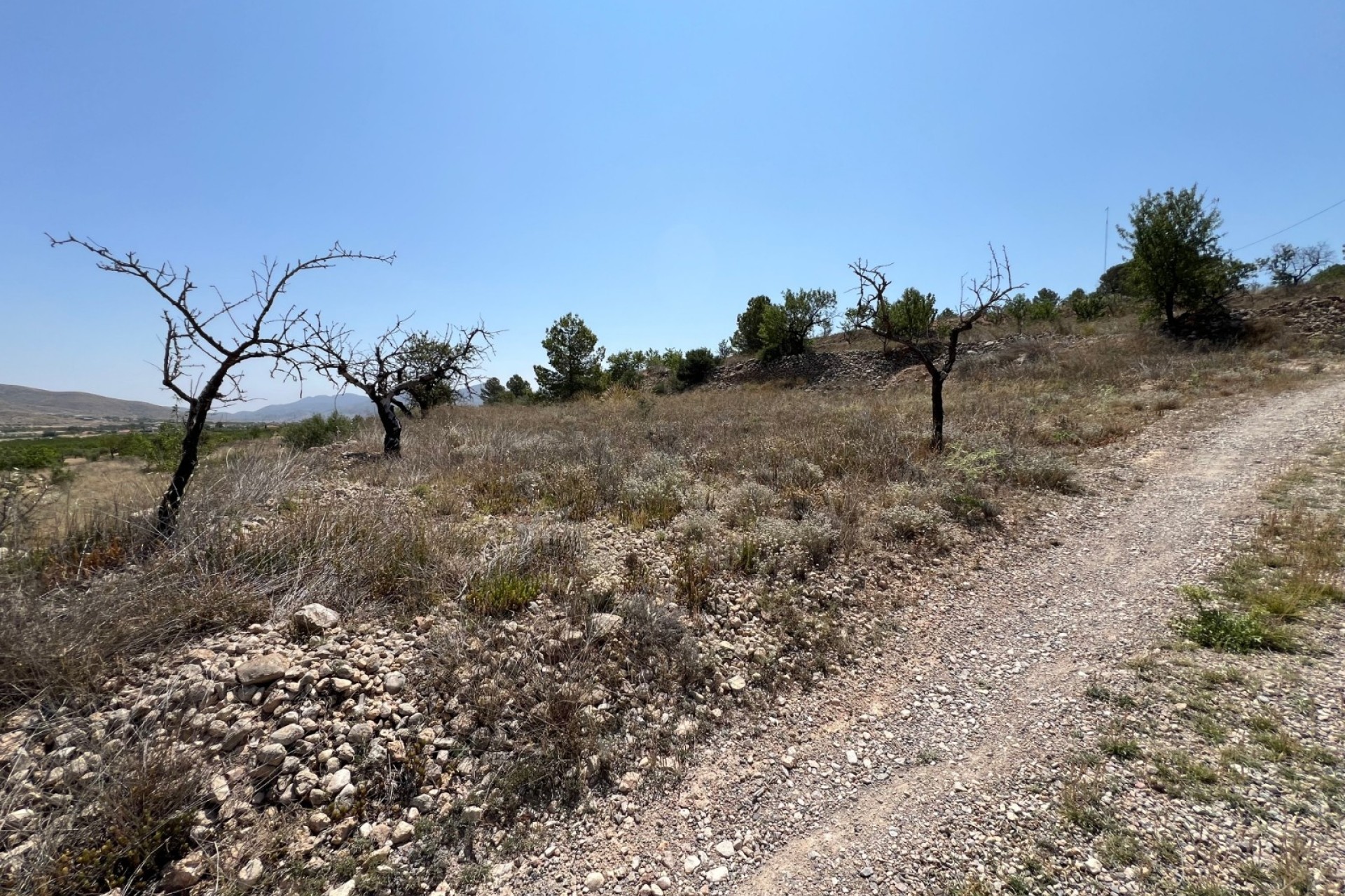 Herverkoop - Perceel Grond -
Barbarroja