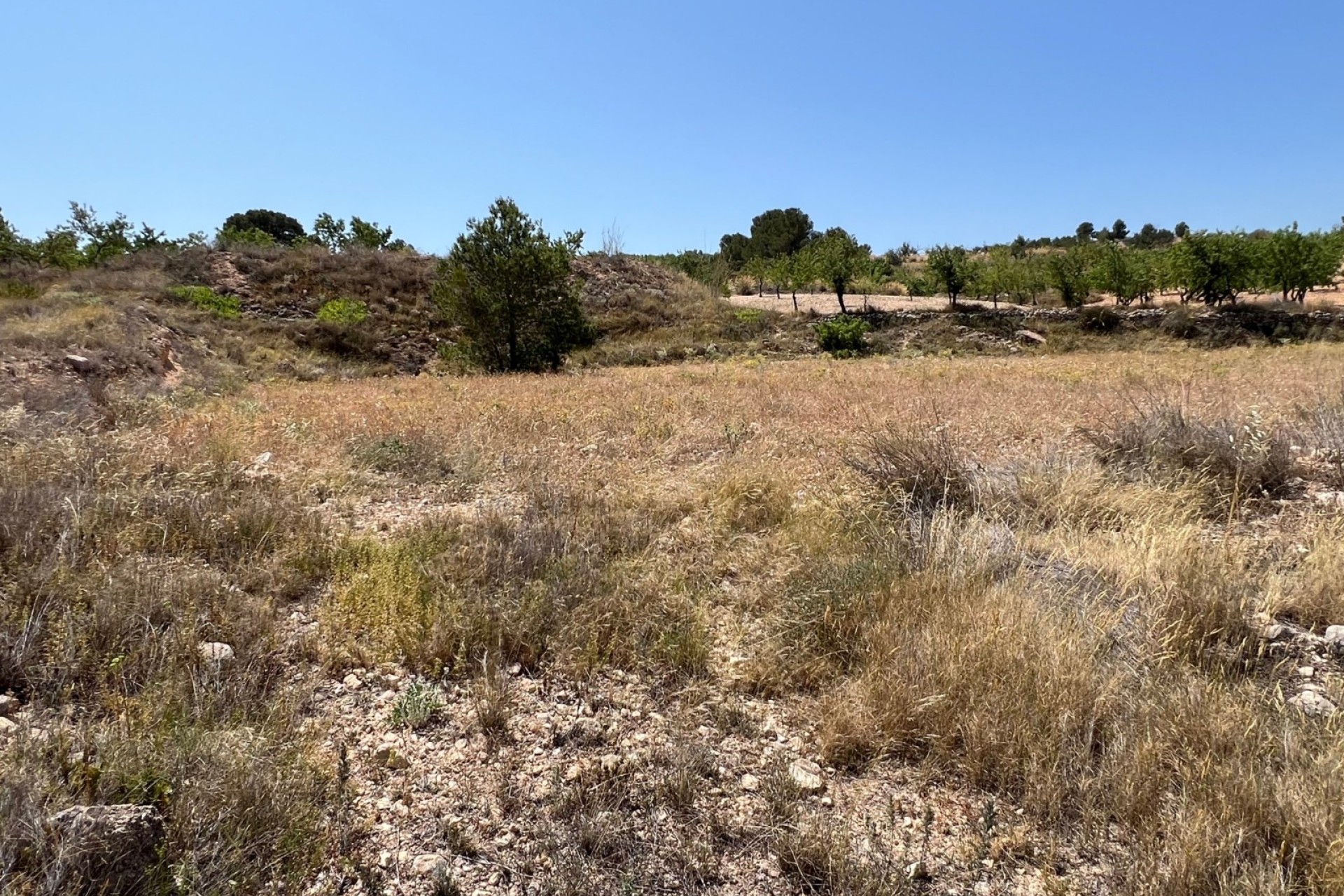 Herverkoop - Perceel Grond -
Barbarroja