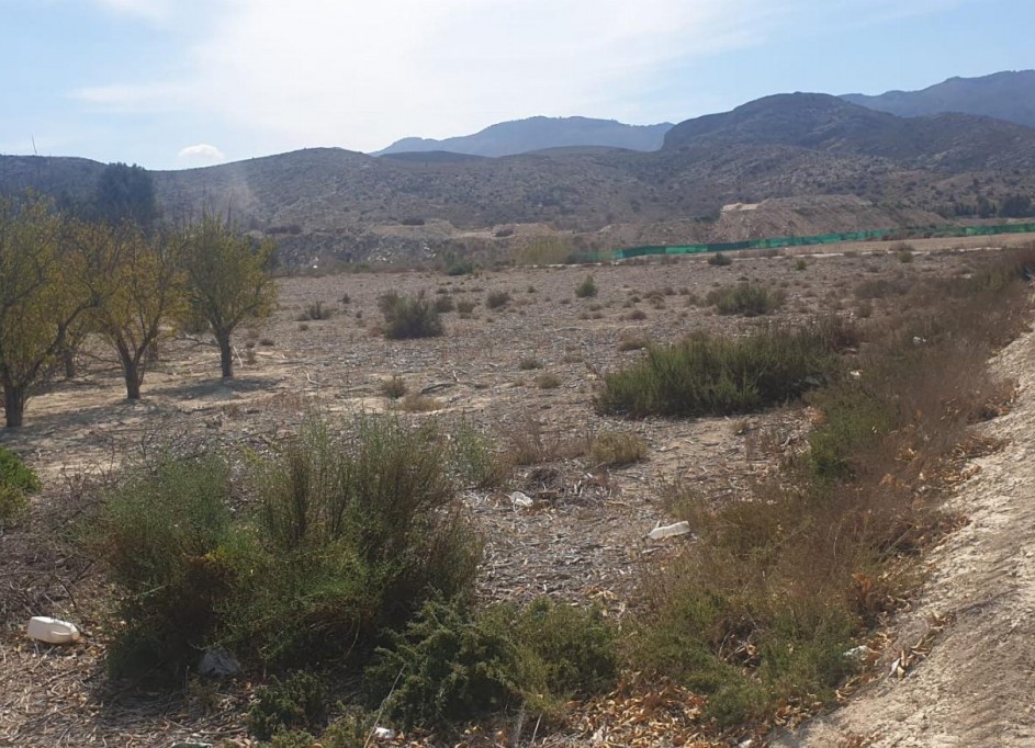 Herverkoop - Perceel Grond -
Benferri - HUERTA PUEBLO