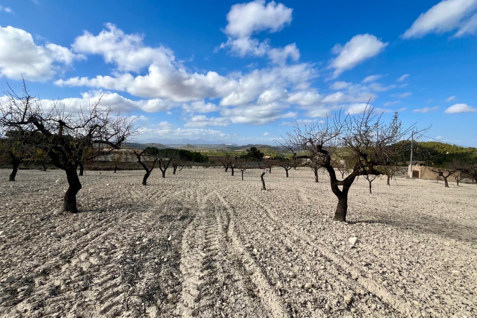 Herverkoop - Perceel / Grond -
Bullas - Costa Calida
