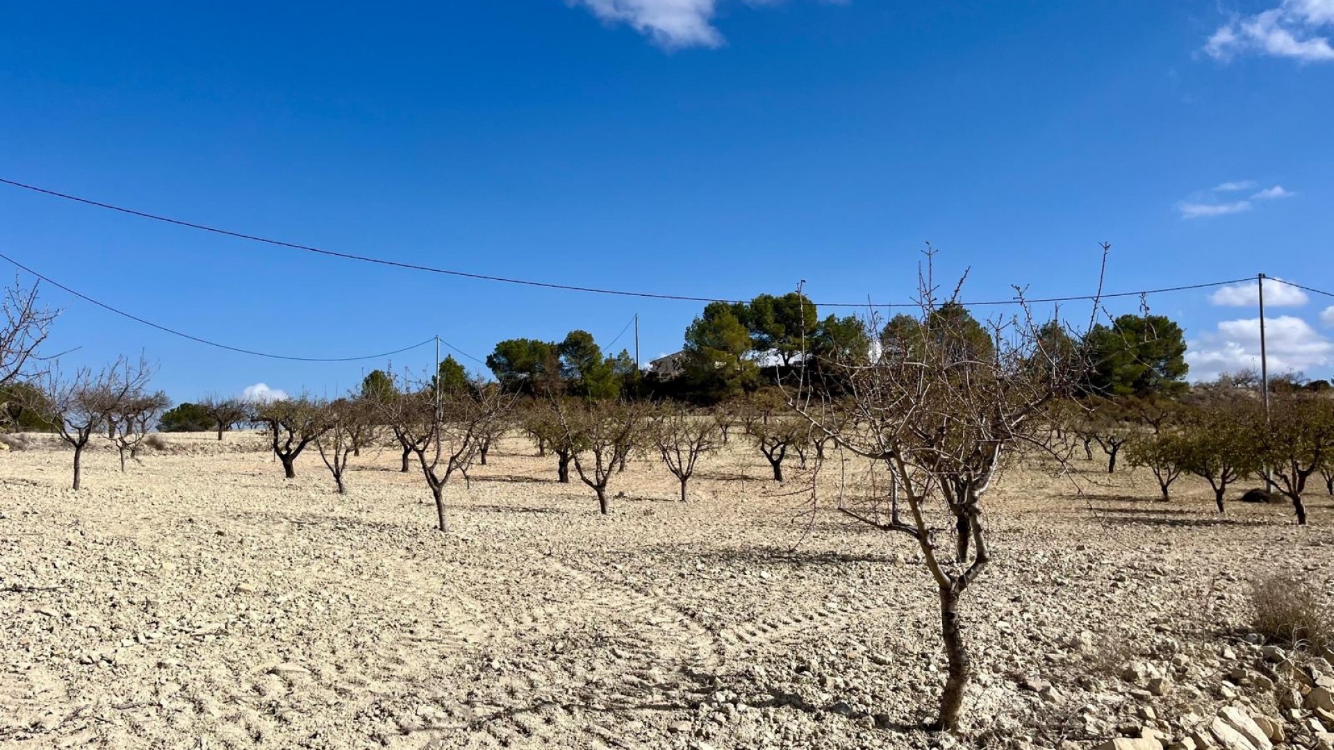 Herverkoop - Perceel Grond -
Bullas - Costa Calida
