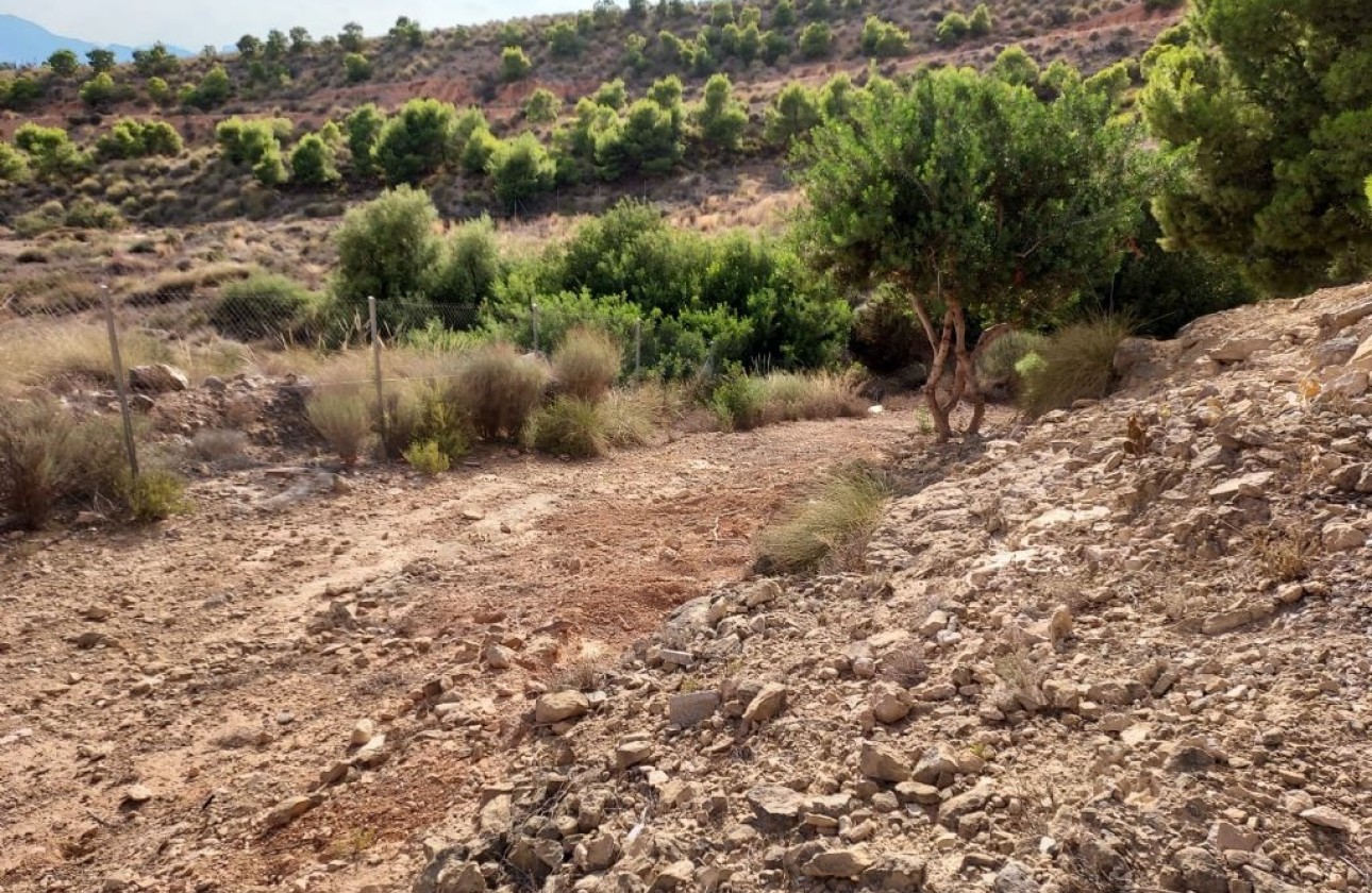 Herverkoop - Perceel / Grond -
Crevillente