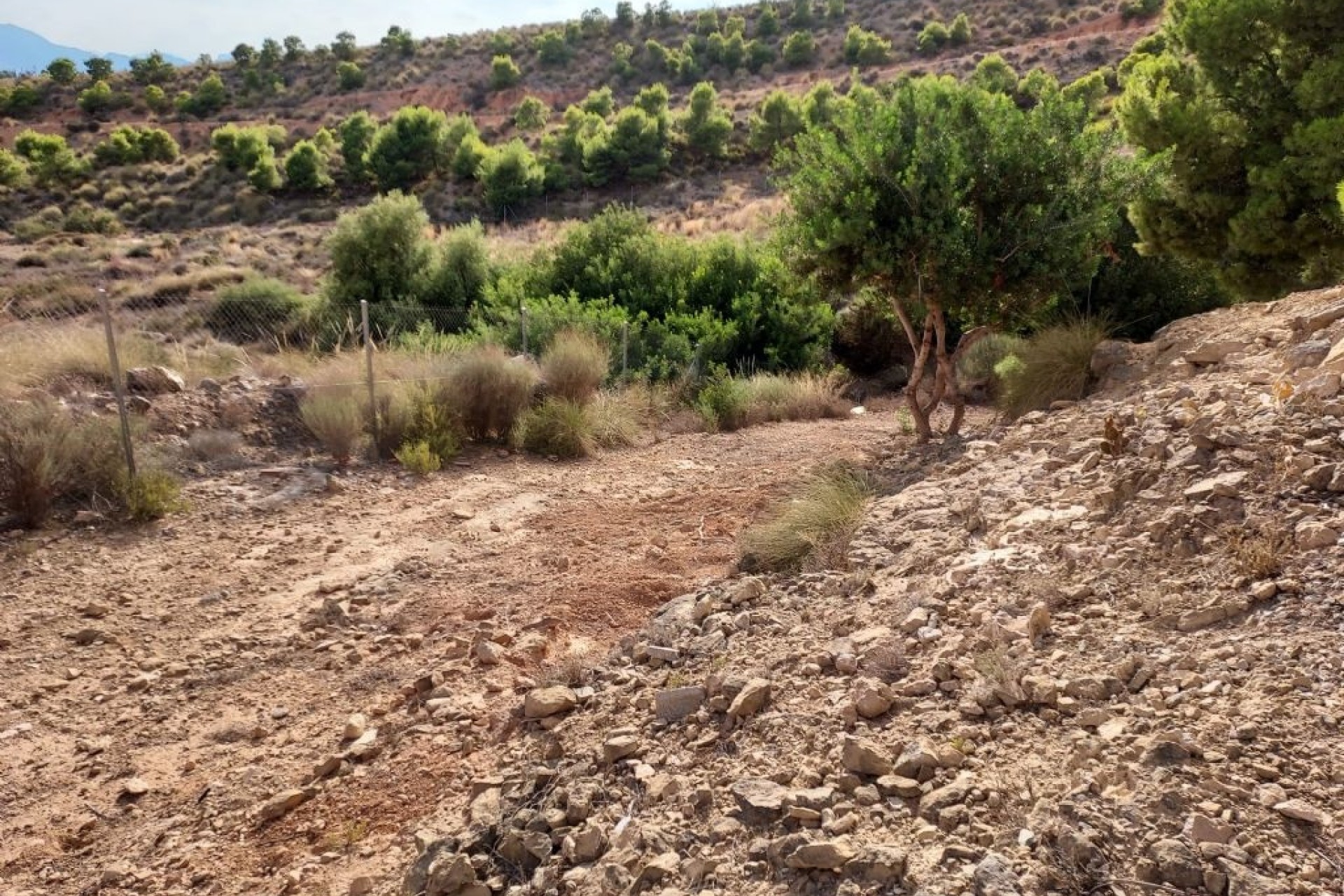 Herverkoop - Perceel / Grond -
Crevillente