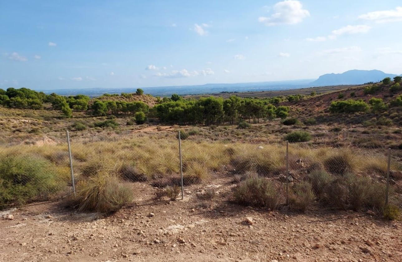 Herverkoop - Perceel / Grond -
Crevillente
