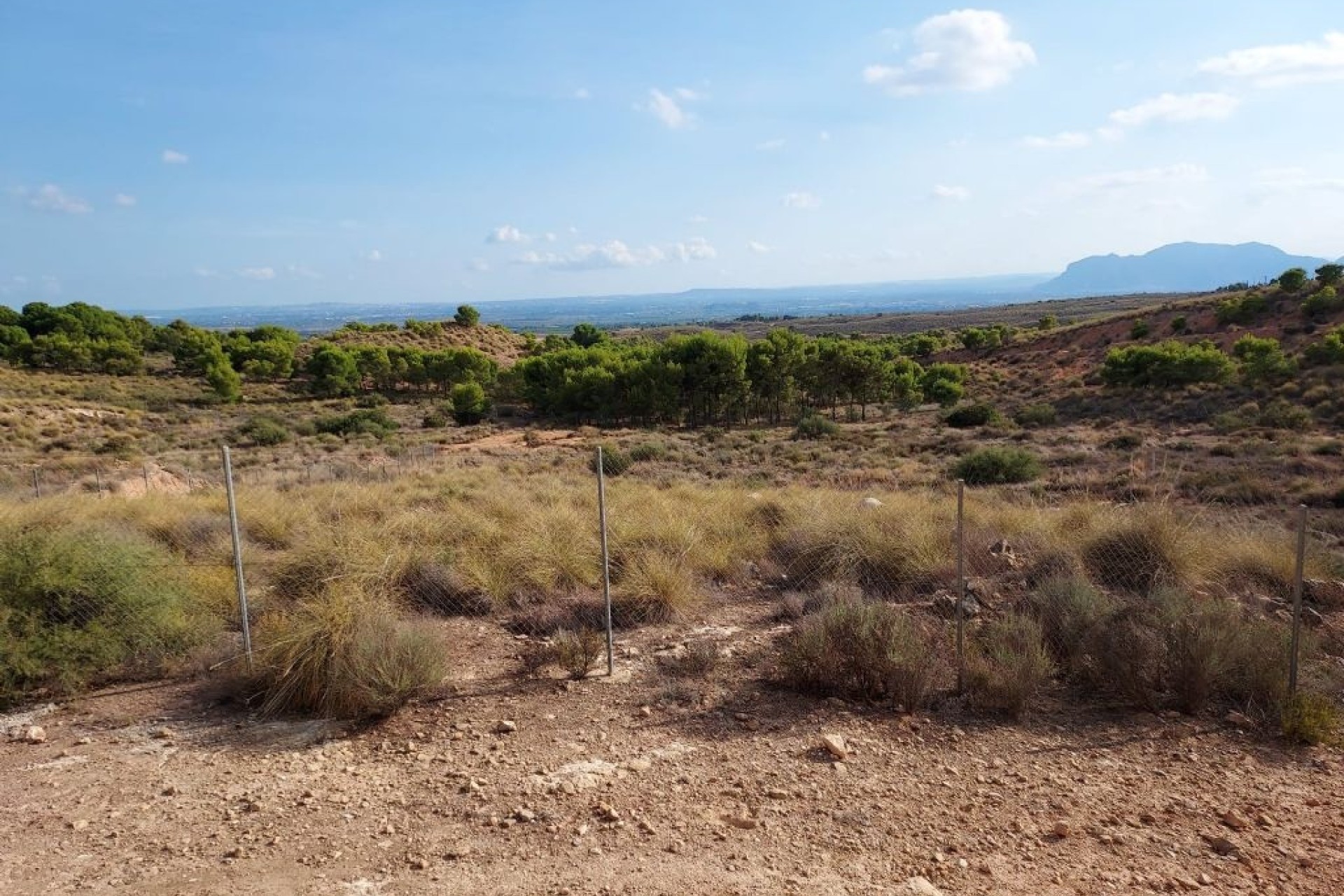 Herverkoop - Perceel / Grond -
Crevillente