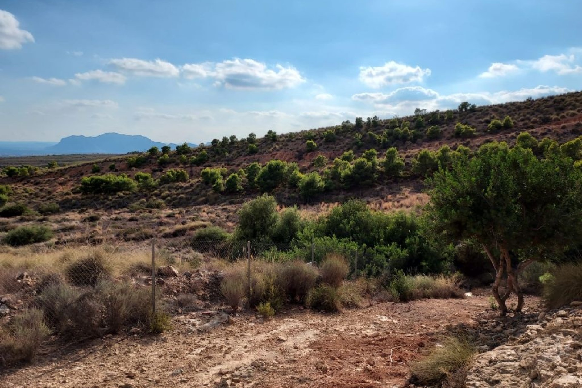 Herverkoop - Perceel / Grond -
Crevillente