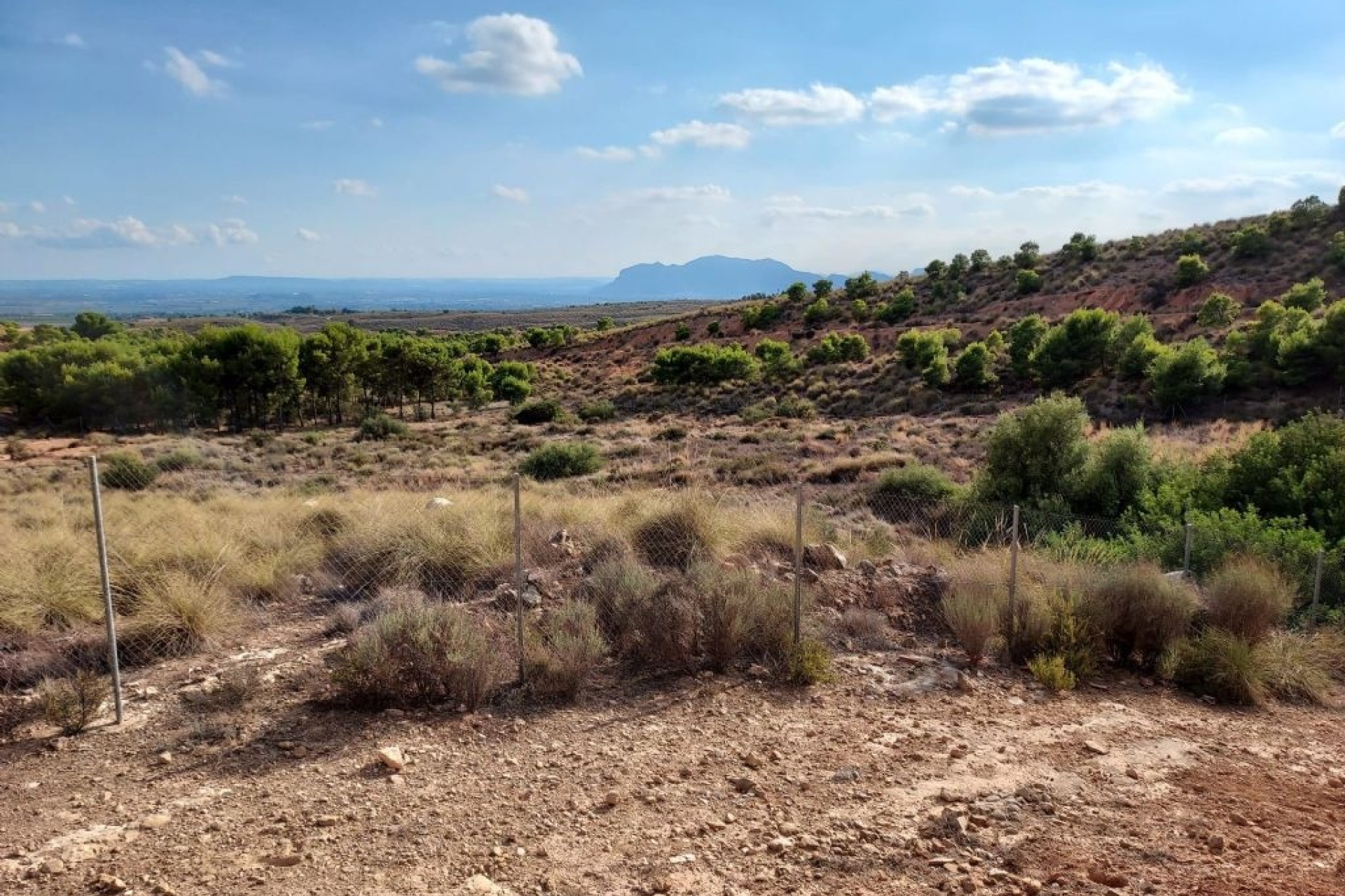 Herverkoop - Perceel / Grond -
Crevillente