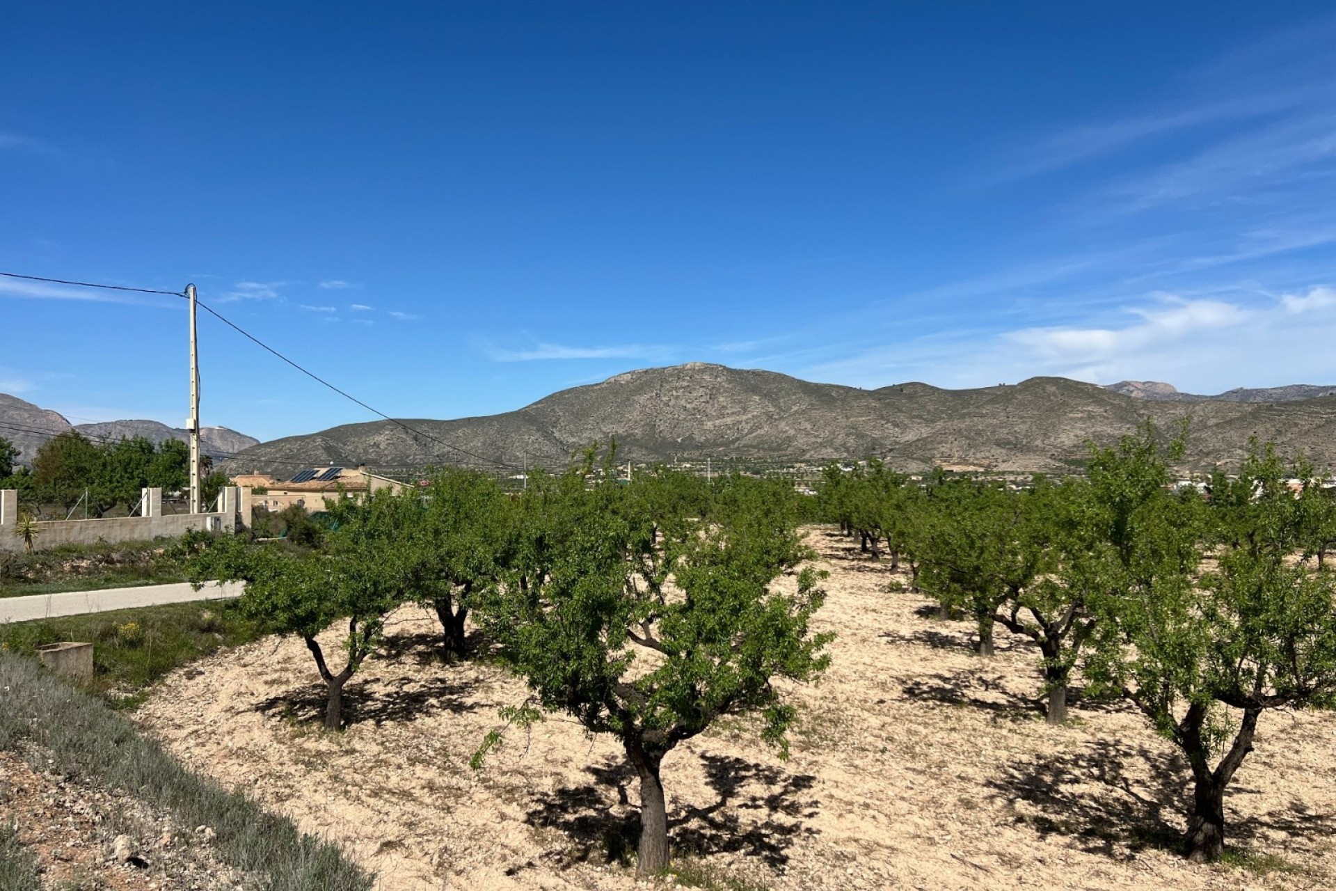 Herverkoop - Perceel / Grond -
Hondón de los Fráiles