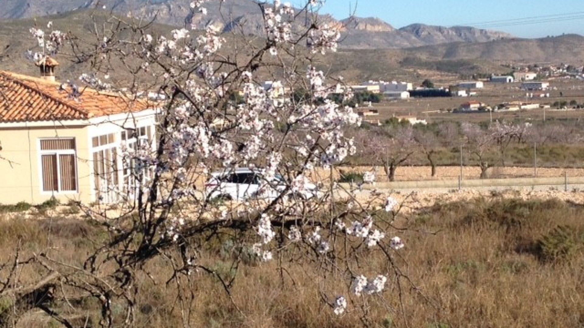 Herverkoop - Perceel Grond -
Hondón de los Fráiles