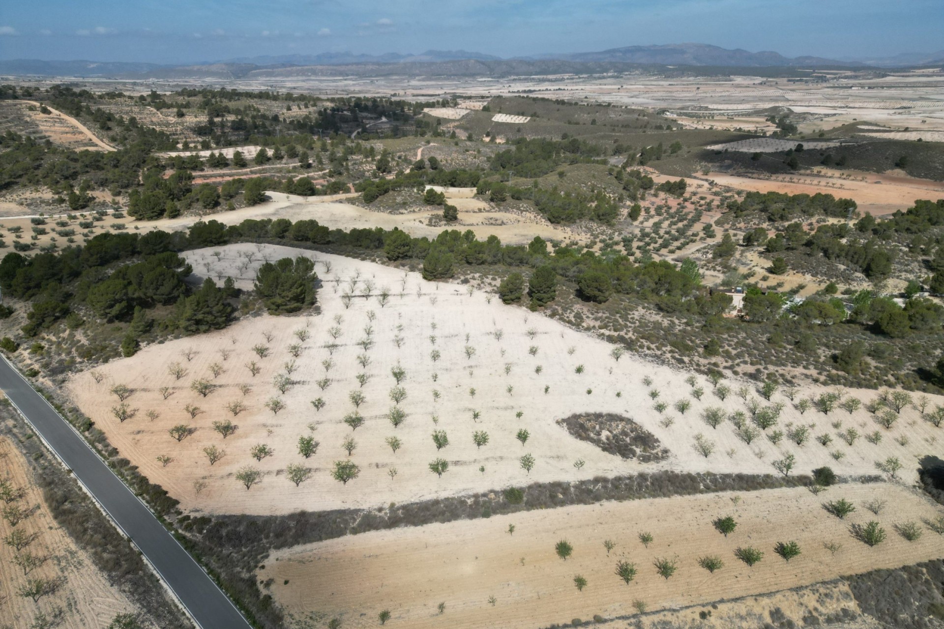 Herverkoop - Perceel / Grond -
La Zarza
