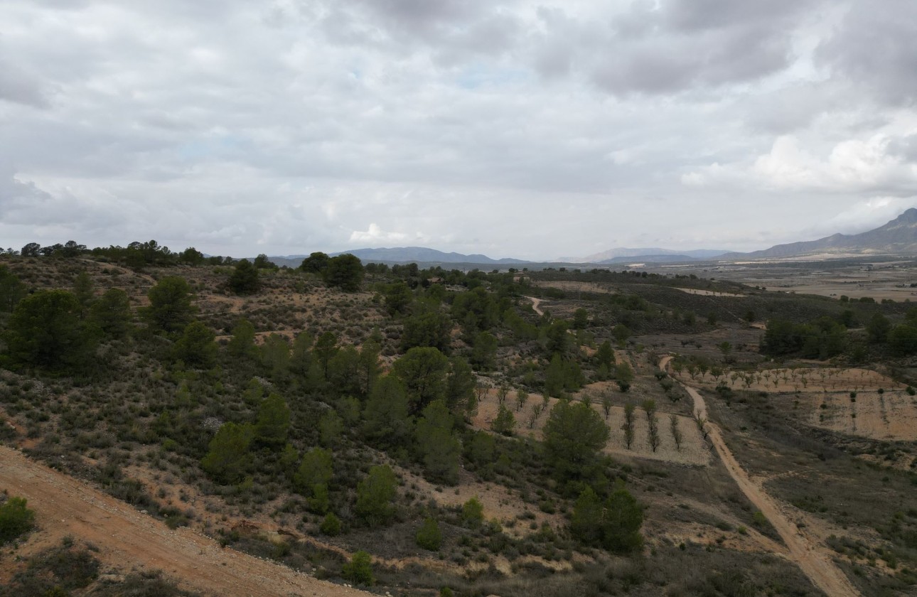Herverkoop - Perceel / Grond -
La Zarza