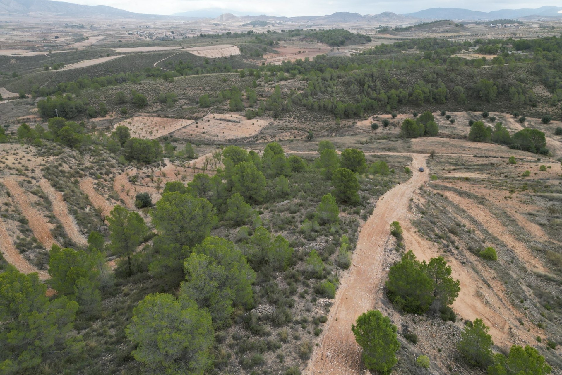 Herverkoop - Perceel / Grond -
La Zarza