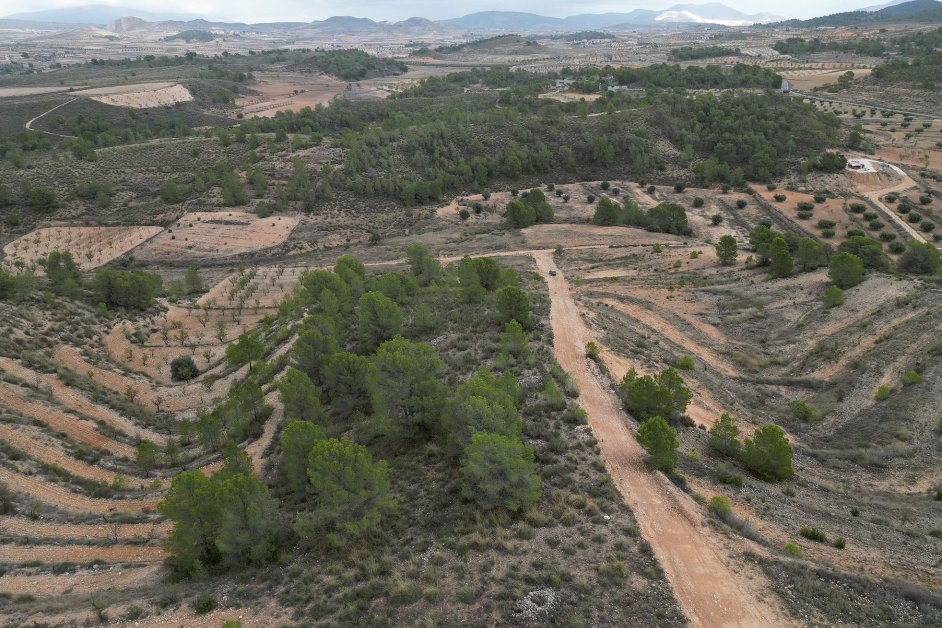 Herverkoop - Perceel / Grond -
La Zarza