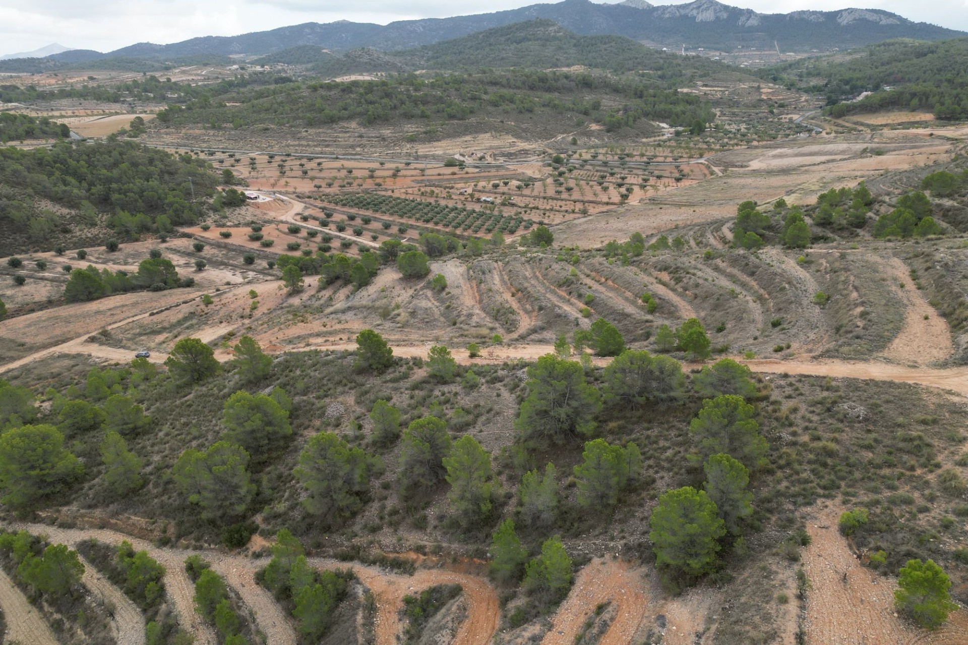 Herverkoop - Perceel / Grond -
La Zarza
