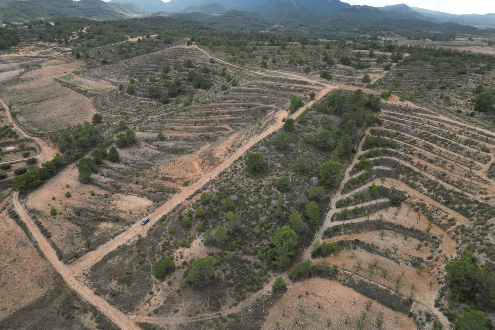 Herverkoop - Perceel / Grond -
La Zarza