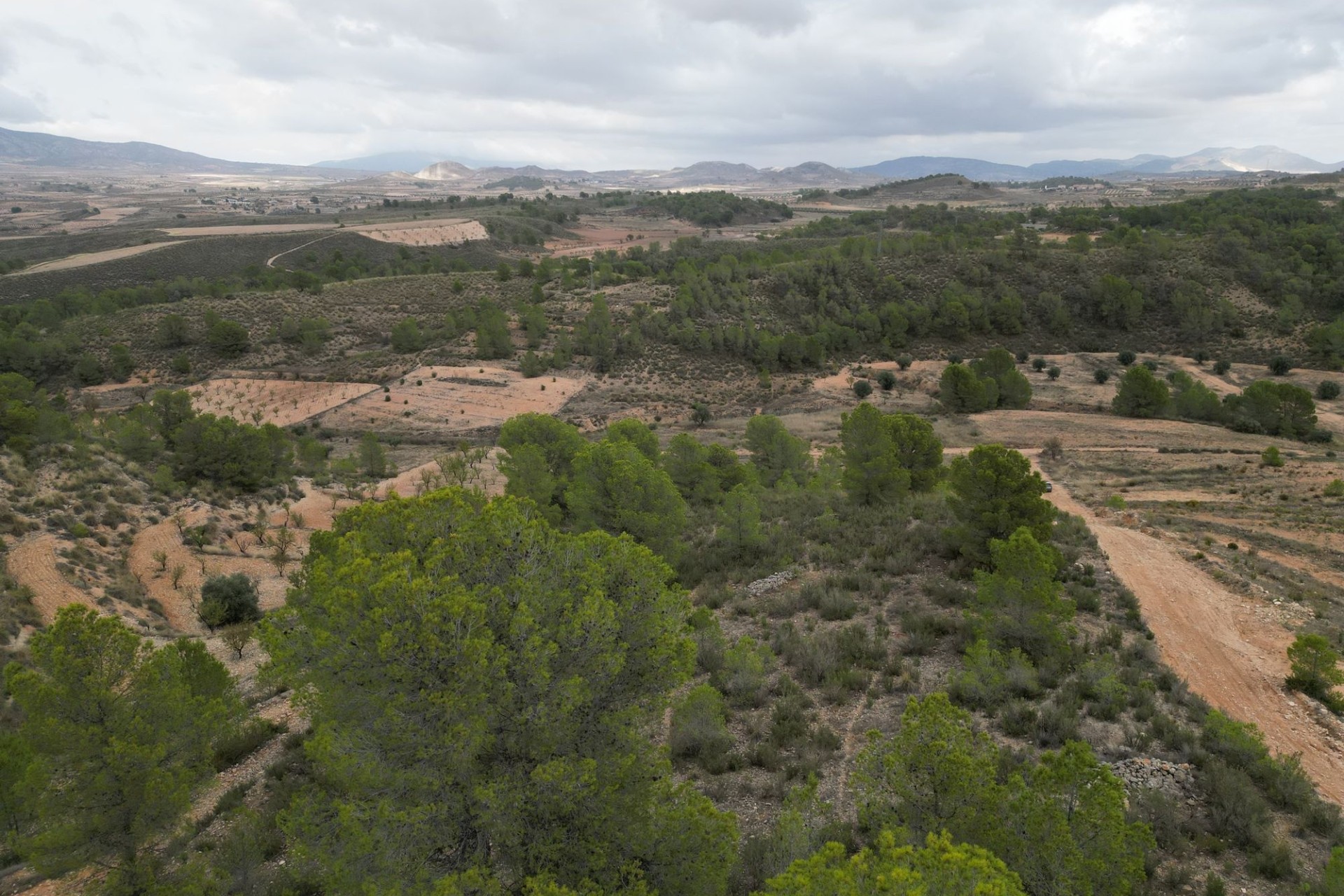 Herverkoop - Perceel / Grond -
La Zarza