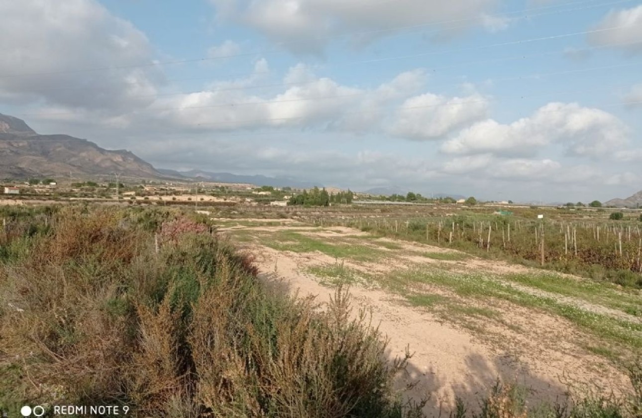 Herverkoop - Perceel / Grond -
Monforte del Cid