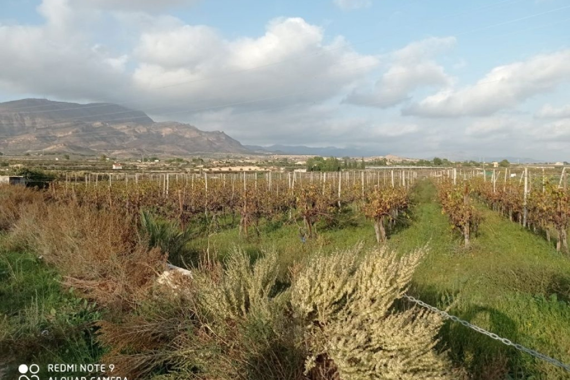 Herverkoop - Perceel / Grond -
Monforte del Cid