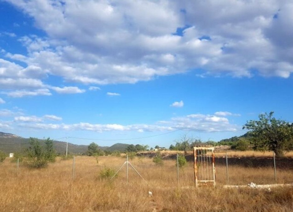 Herverkoop - Perceel Grond -
Monóvar