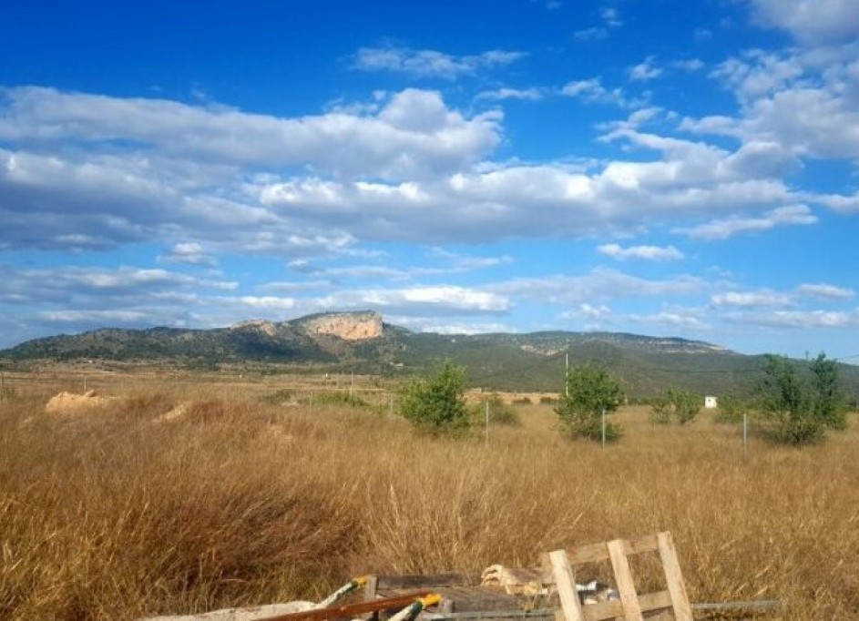 Herverkoop - Perceel Grond -
Monóvar