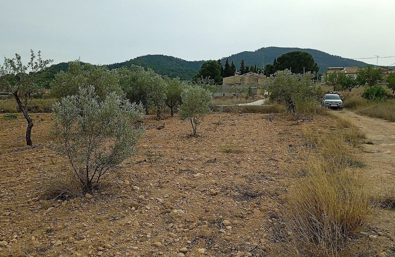 Herverkoop - Perceel Grond -
Monóvar