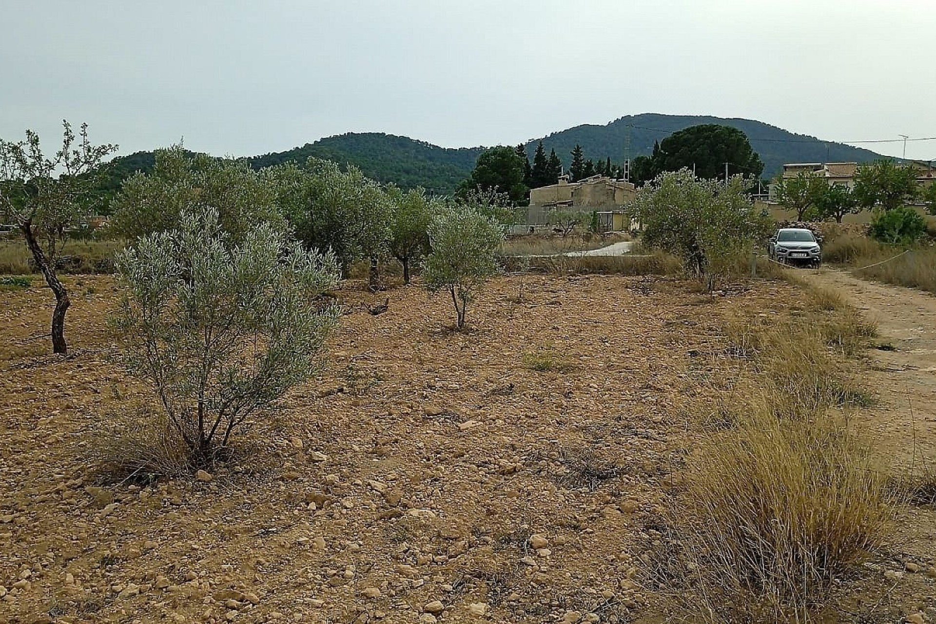 Herverkoop - Perceel Grond -
Monóvar