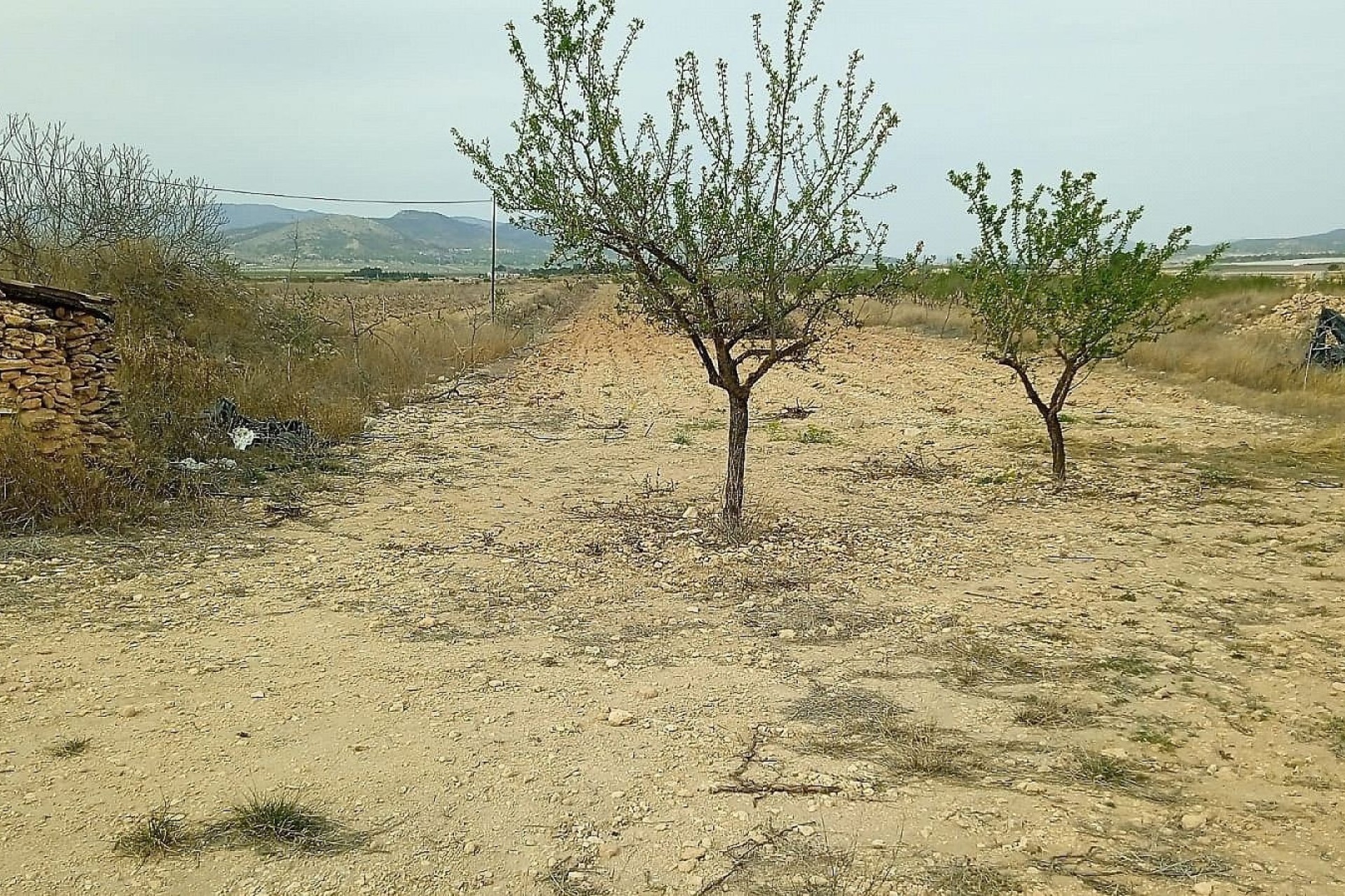 Herverkoop - Perceel Grond -
Monóvar