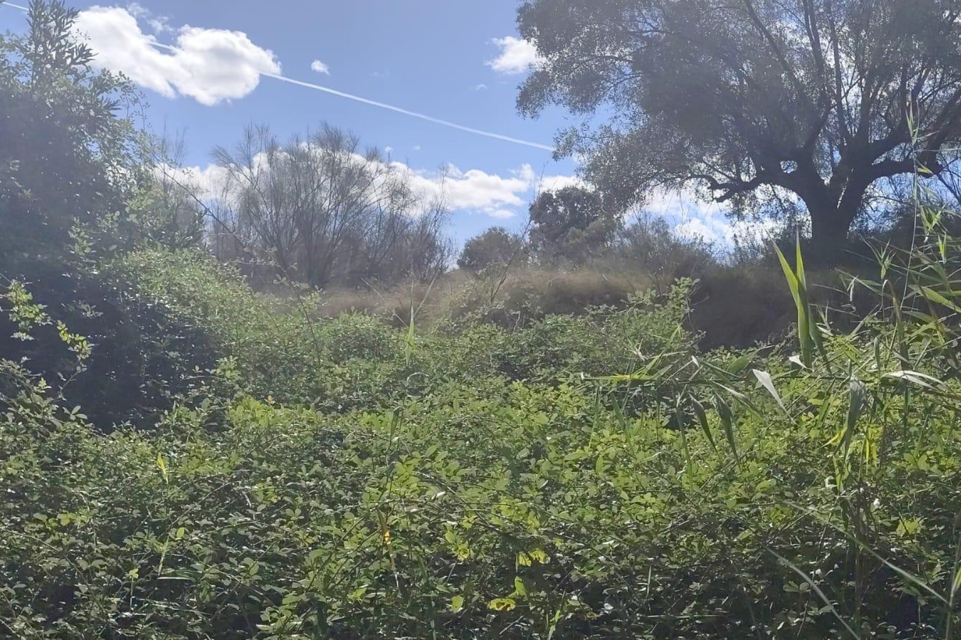 Herverkoop - Perceel Grond -
Moratalla