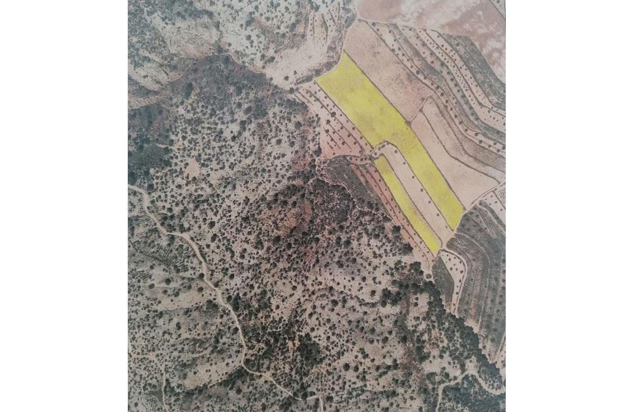 Herverkoop - Perceel / Grond -
Pinoso