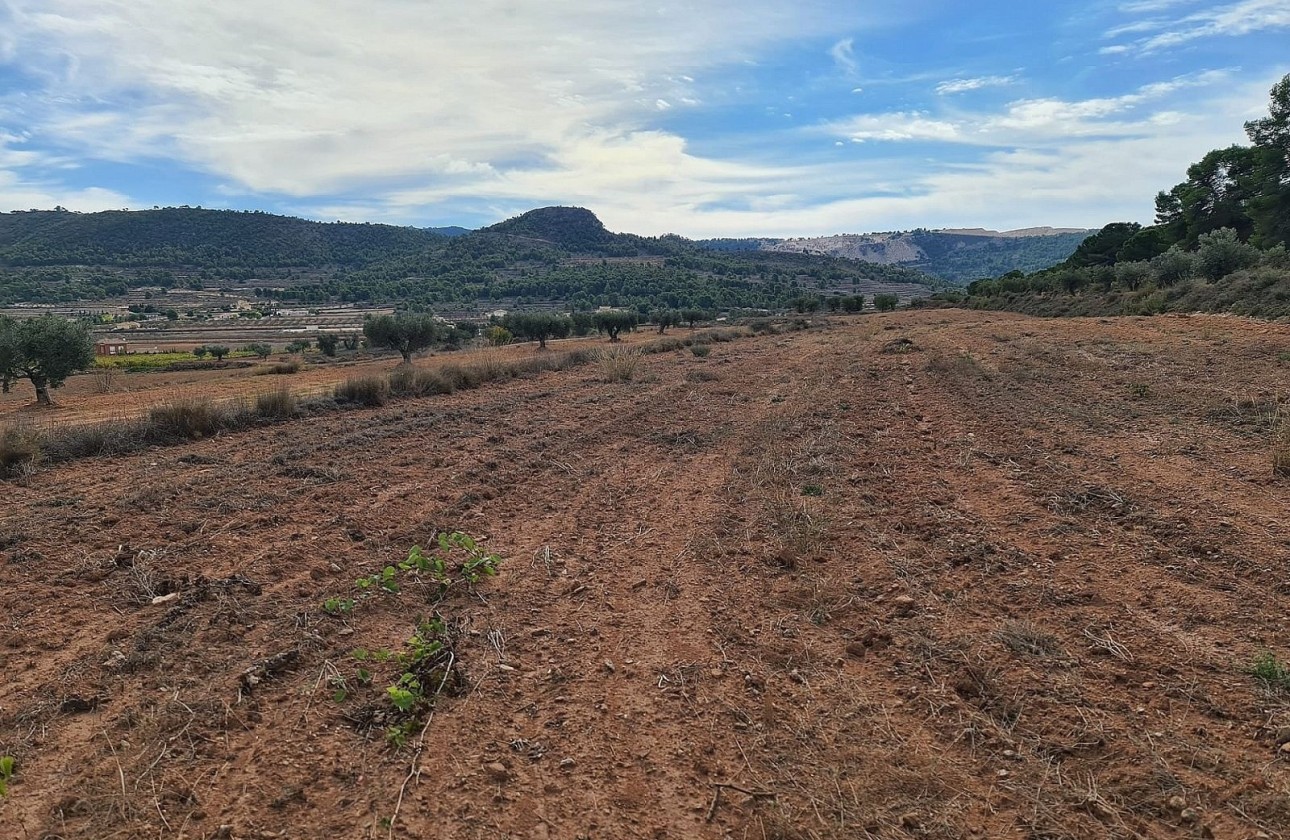 Herverkoop - Perceel / Grond -
Pinoso
