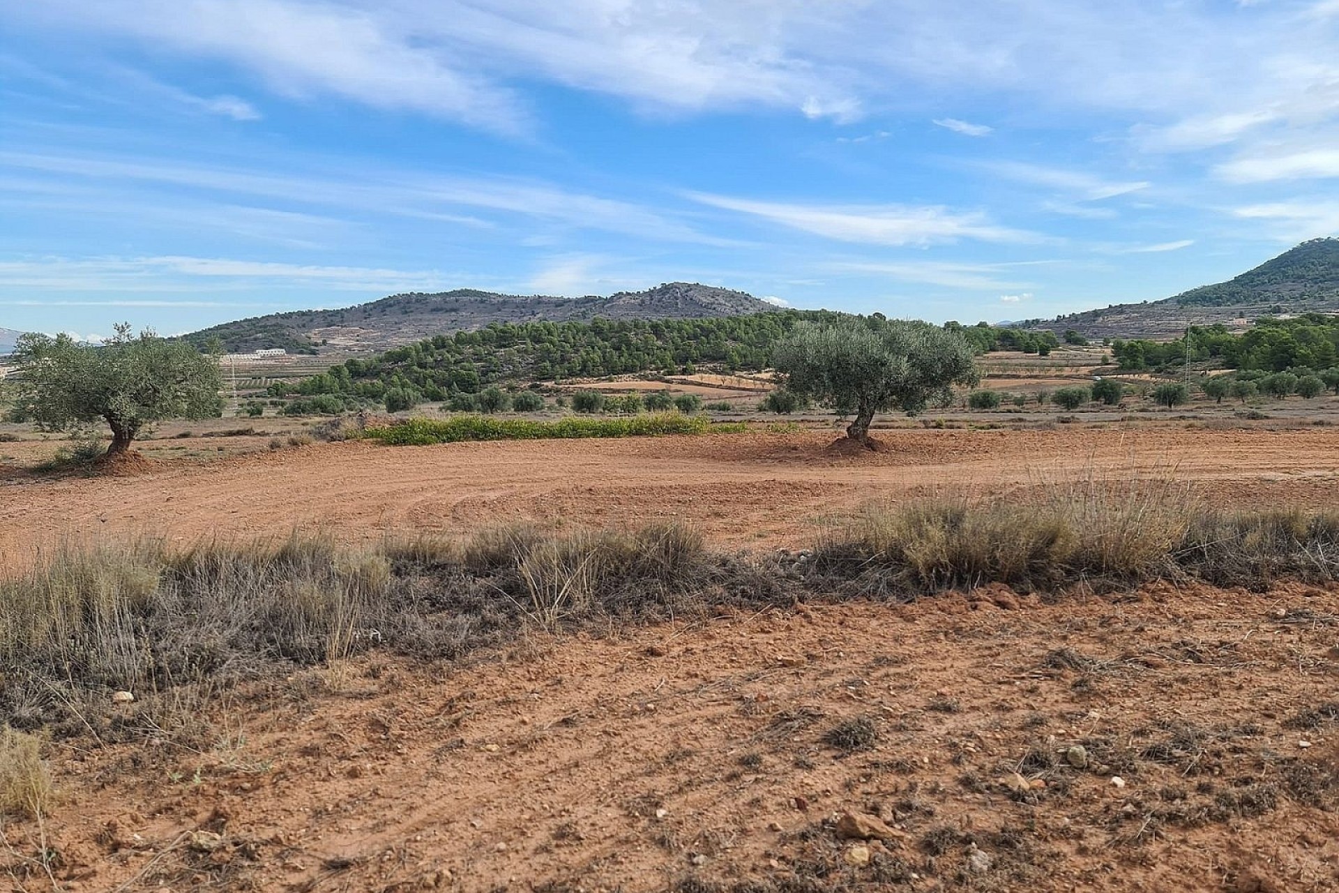 Herverkoop - Perceel / Grond -
Pinoso