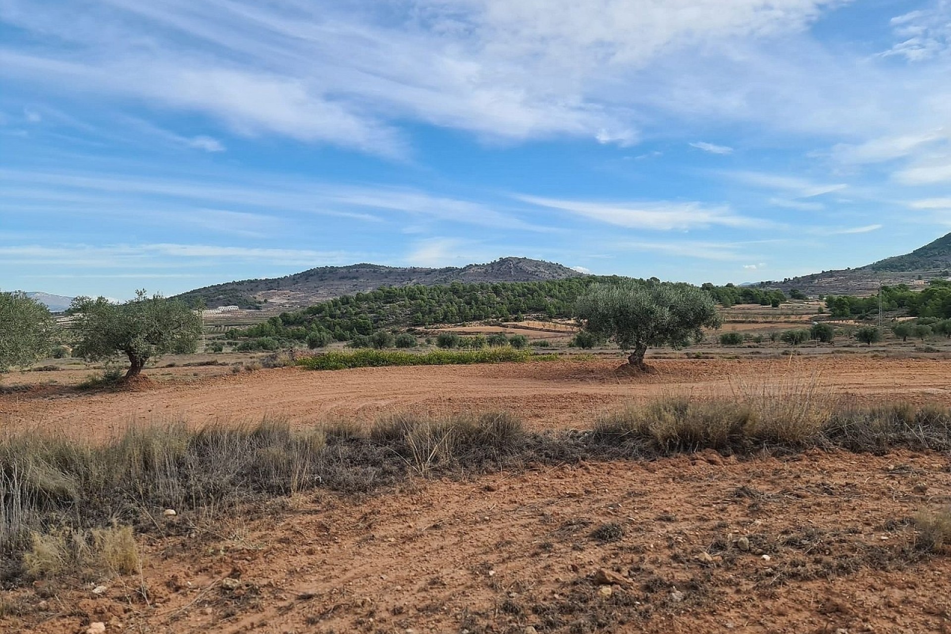 Herverkoop - Perceel / Grond -
Pinoso