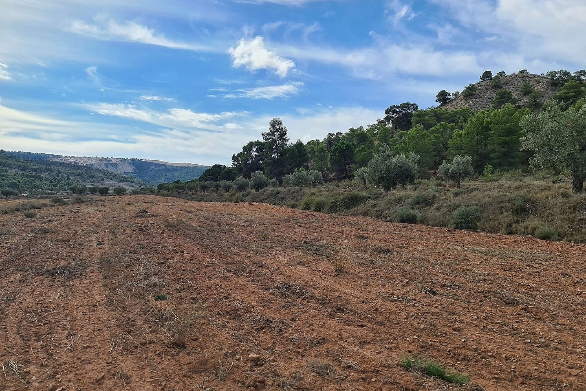 Herverkoop - Perceel / Grond -
Pinoso