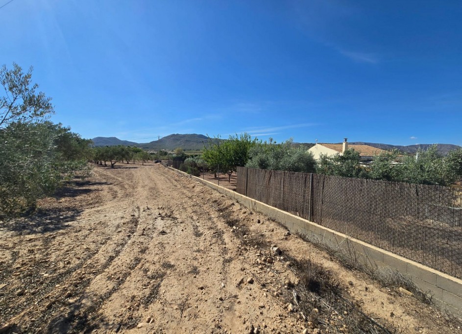 Herverkoop - Perceel Grond -
Salinas